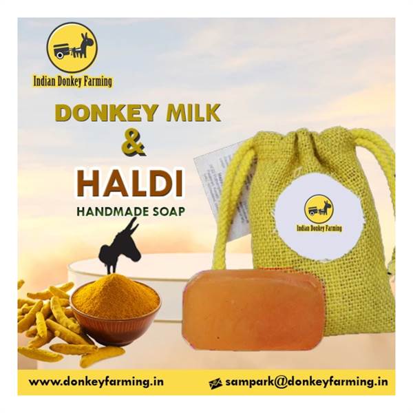 Haldi Donkaey Milk Soap 100G